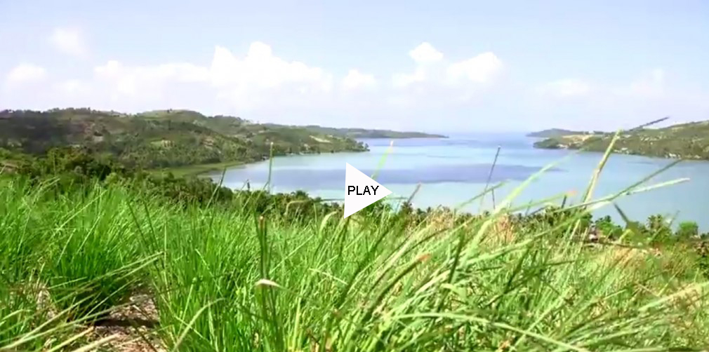 vetiver-1024x575-SITE-WEB-VIDEO