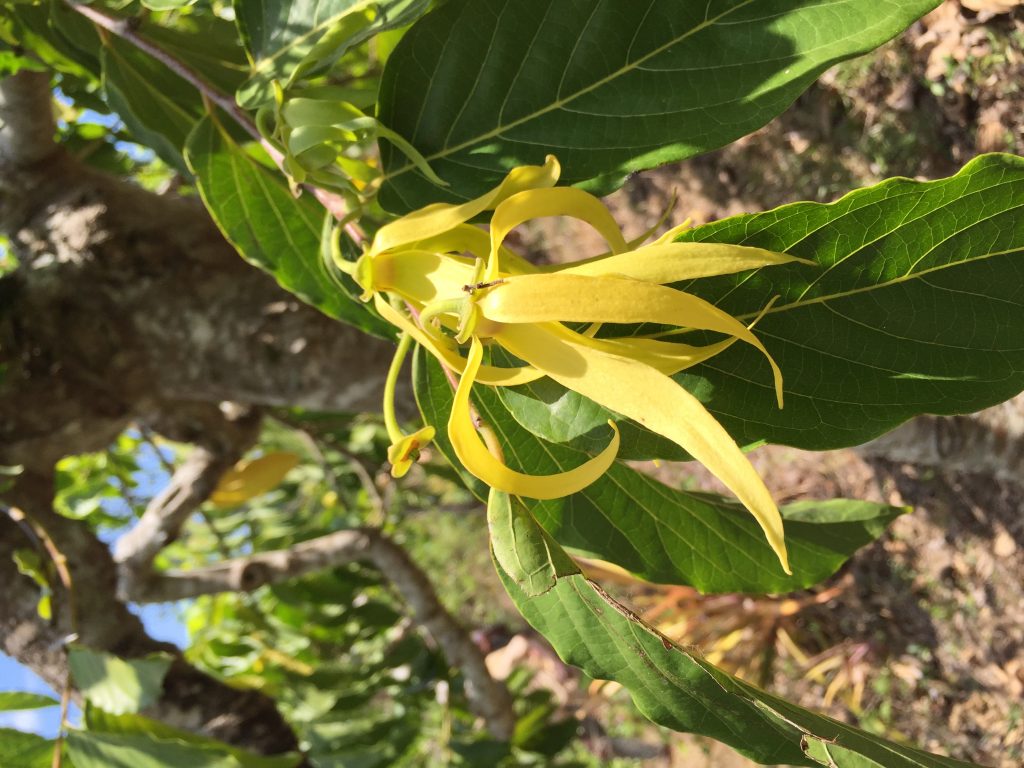 IMG_3437-2-3-1024x768